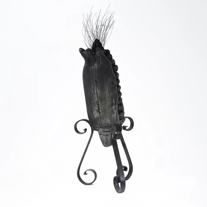 Mazorca de Barro Negro