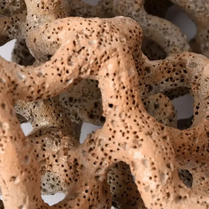 Ceramic piece from the Organic Matter Series 2017.