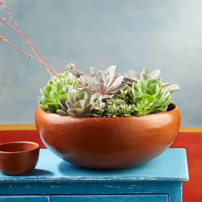Large red clay bowl