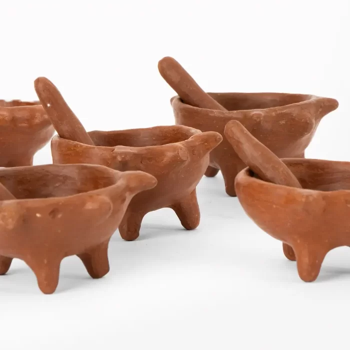 Spices of puerquito with spoon