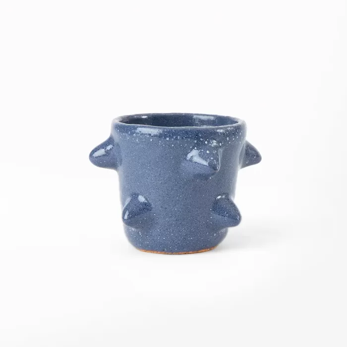 Mezcalero Pochote of colors