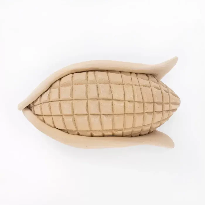 Natural clay cob