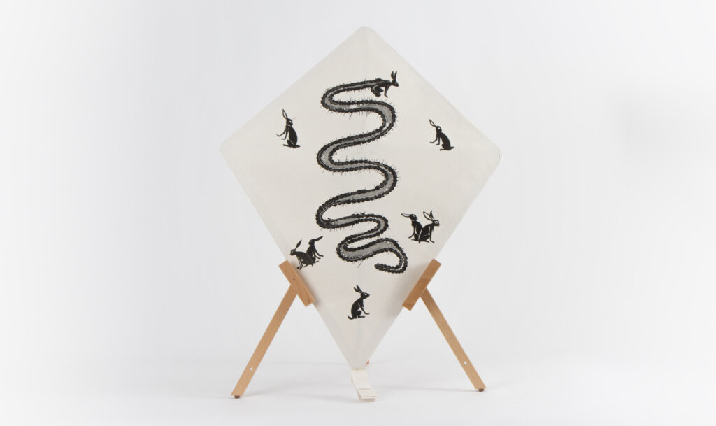 Francisco Toledo papalote