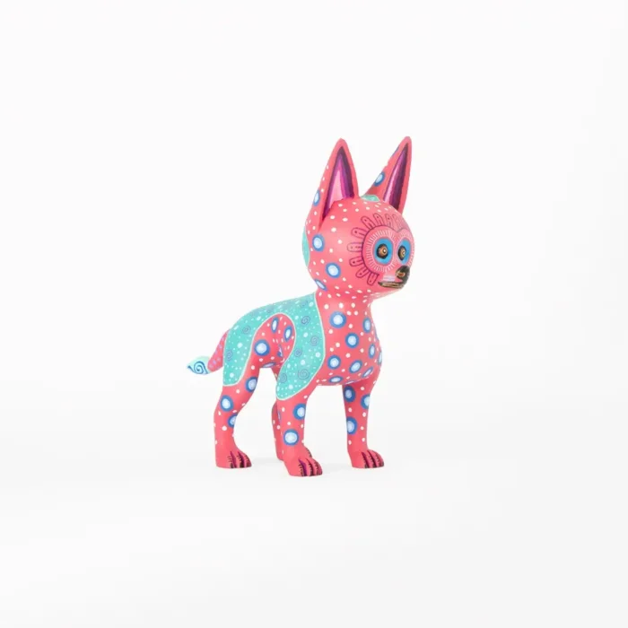 Alebriej Perro Chihuahua Coco Tjyma