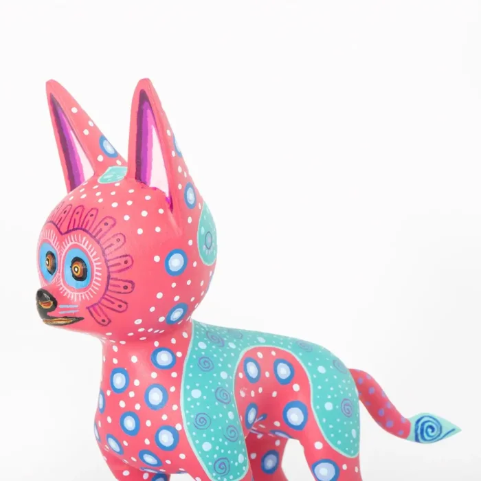 Alebriej Perro Chihuahua Coco Tjyma
