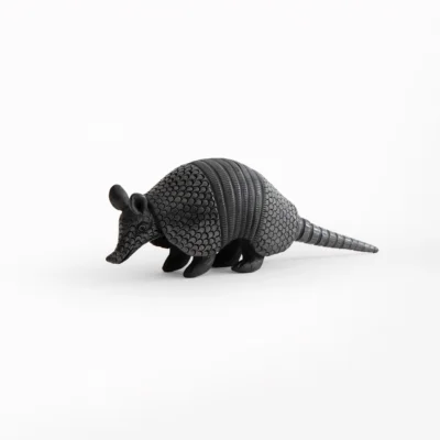 Small black mud armadillo