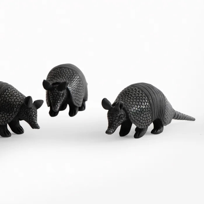 Small black mud armadillo