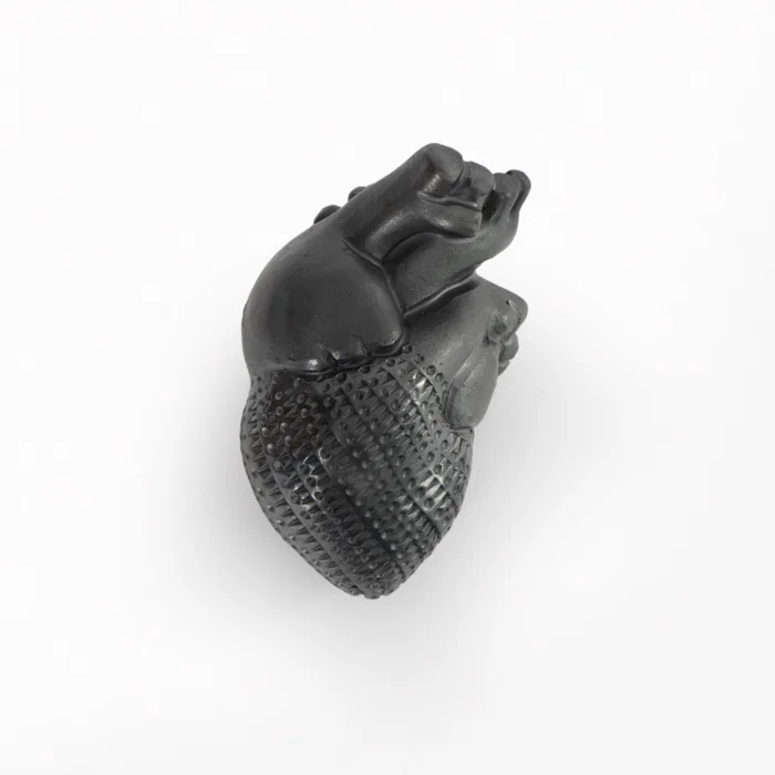 Corazón chico con arterias