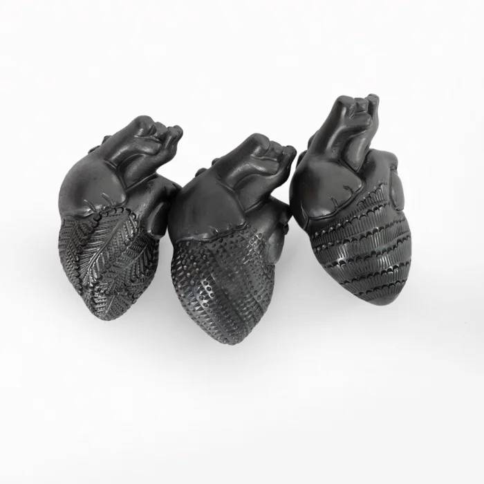 Corazón chico con arterias