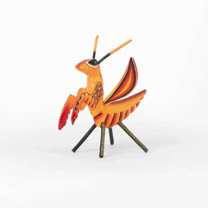 Mantis FFS
