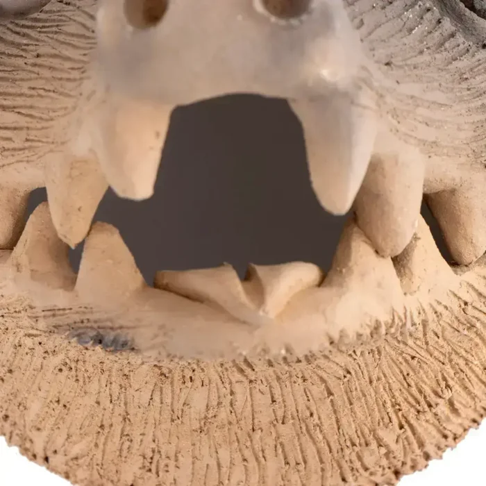 Large mask