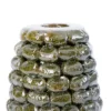 Green corncob