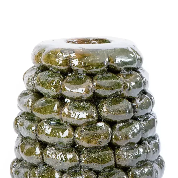 Green corncob