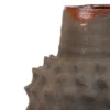 Medium ceiba pitcher with enameling