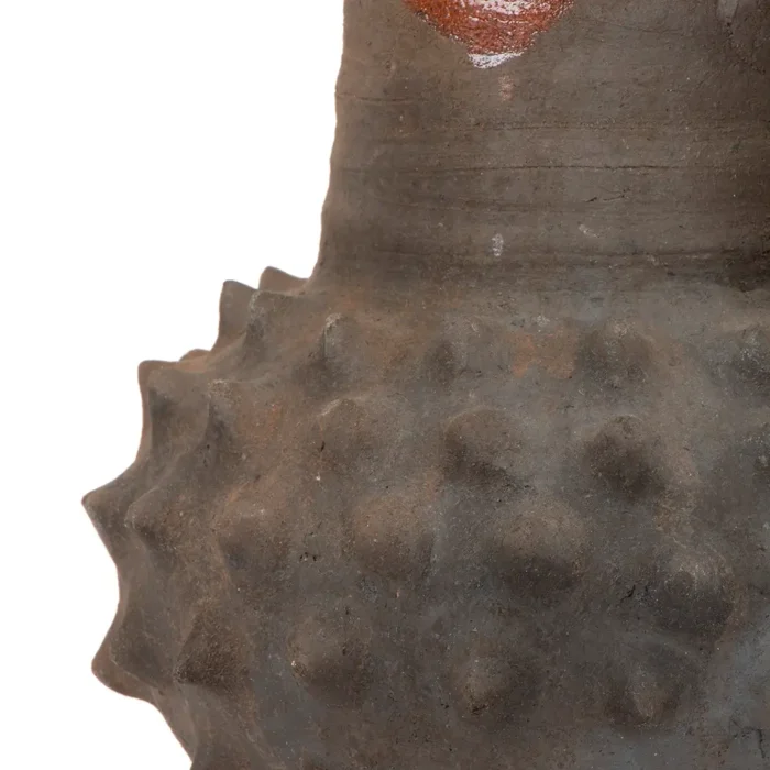 Medium ceiba pitcher with enameling
