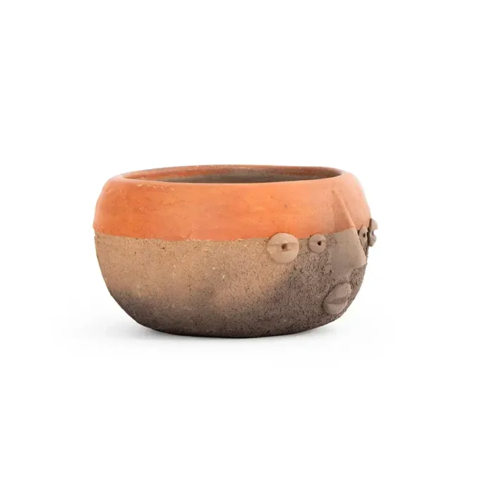 Face salad bowl