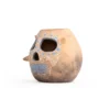 Openwork skull vase