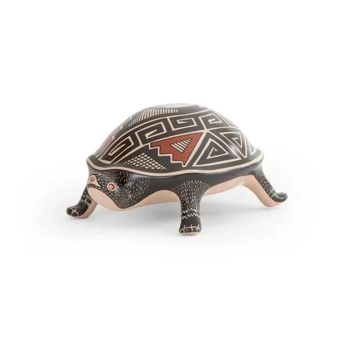 Tortuga negra
