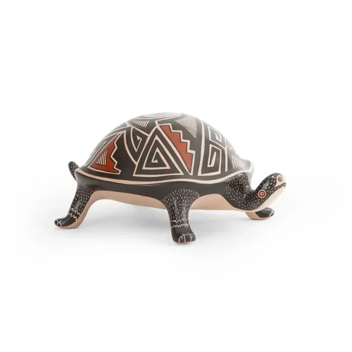 Tortuga negra