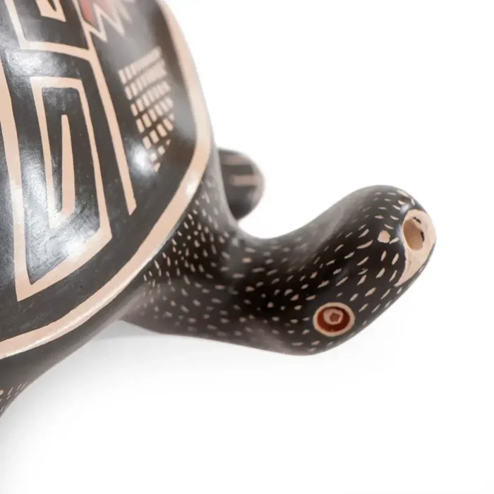 Tortuga negra