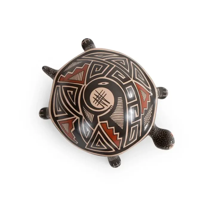 Tortuga negra