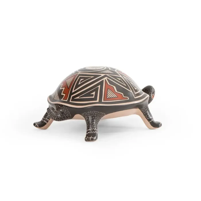 Tortuga negra