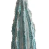 Hombre Cactus