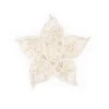 Hot sisal star holder