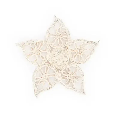 Hot sisal star holder