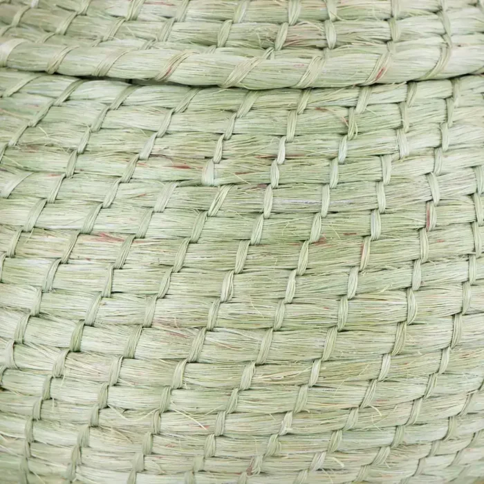 Large sisal pear
