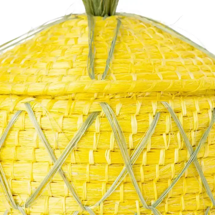 Henquin pineapple