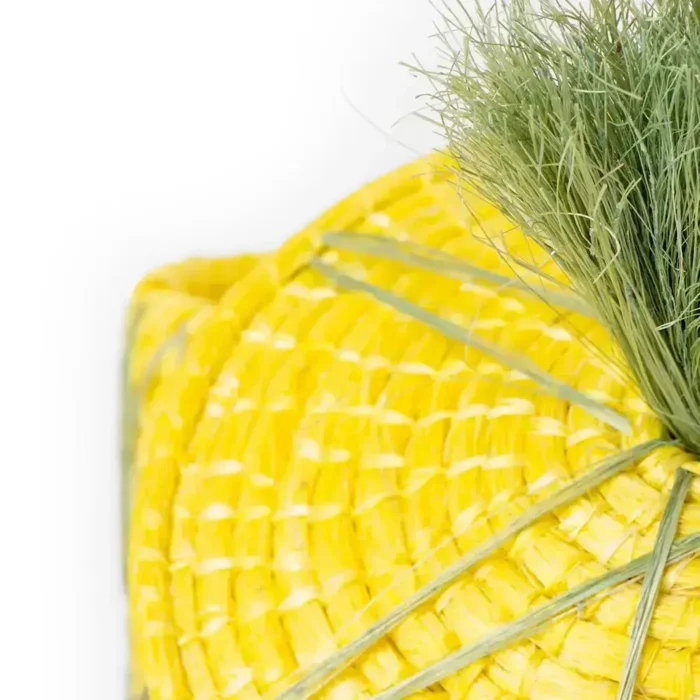 Henquin pineapple