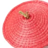 Sisal apple