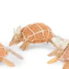 Sisal armadillo