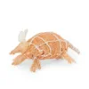 Sisal armadillo