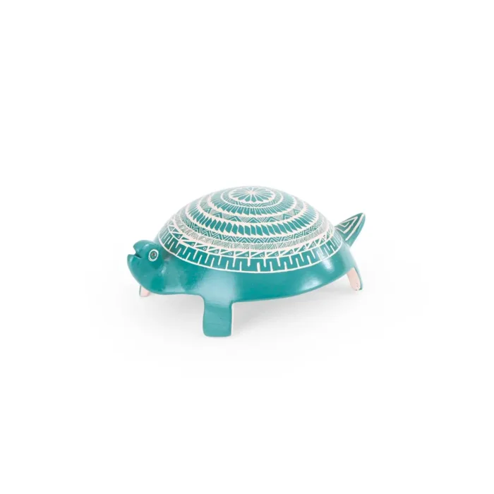 Tortuga turquesa