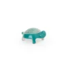 Small turtle