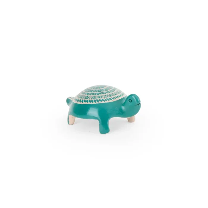 Small turtle