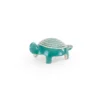 Small turtle
